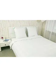 Набір Руно ковдра 140х205 + подушка 50х70 "Aloe Vera" 924.52Aloe Vera - мініатюра 4