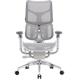 Крісло офісне Sihoo Doro S300 Mesh Light Grey (S300-M202)
