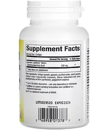 Кверцетин Quercetin LipoMicel Matrix 60 рідких капсул Natural Factors vit0005765 - мініатюра 2