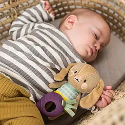 Розвивальна підвіска-брязкальце Taf Toys Кролик Дженні колекції Садок у місті 12995 - мініатюра 4