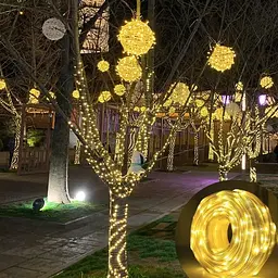 Гірлянда світлодіодна Sun Lamp 300 LED великі краплі 30 метрів 8 режимів білий - мініатюра 6