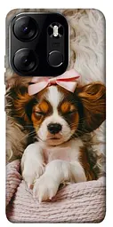 TPU чохол Demsky Sleepy spaniel для Tecno Spark Go 2023