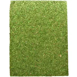Фон з натурального моху Repti-Zoo Natural Moss Back & Bottom 20x30см 2 шт (NCM3020) для тераріуму