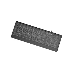 Клавіатура Gembird Slim Multimedia White Backlight USB Black (KB-UML-04-CYRL) - мініатюра 3
