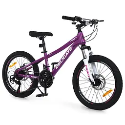Велосипед PROFI DELICATE 20 д. DL-2002 сталев.рама 11",SKD85%,SAIGUAN 21SP,швидк.кол.,.фуксія