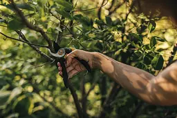Секатор площинний Fiskars Solid M 321 (1057162) - мініатюра 3