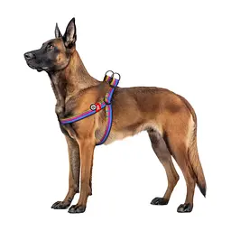 Шлея для собак WAUDOG Nylon з QR паспортом "Лінія 1" пластиковий фастекс XL (324-0006) - мініатюра 3
