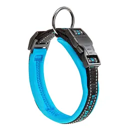 Нашийник для собак Ferplast Sport Dog С25/45 блакитний нейлоновий 2.5х35-45 см 78004025