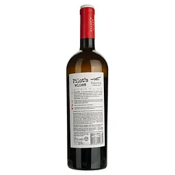 Вино Pilot’s Wines Riesling біле сухе 0.75 л - мініатюра 3