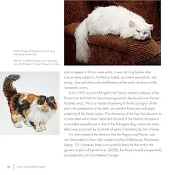 The British Museum Book of Cats - мініатюра 4