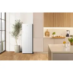 Морозильна камера GORENJE FN4172CW - мініатюра 9