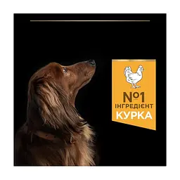Сухий корм для собак Purina Pro Plan Dog Small&Mini Adult з куркою і рисом 3 кг (7613035114920) - мініатюра 7