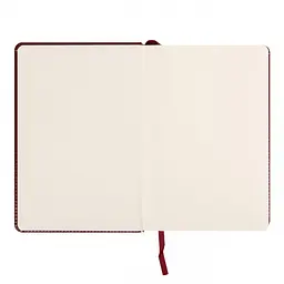 Щоденник діловий Leo Planner 2027 Vector А5 твердий коричневий 368 сторінок (252759) - мініатюра 3