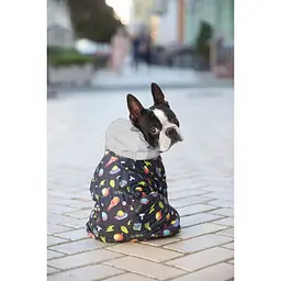 Комбінезон для собак Waudog Clothes, Рік та Морті 2, XS30 - мініатюра 3