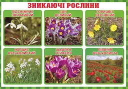 Тека вчителя. Між минулим та майбутнім (жовтень). 3 клас - мініатюра 2