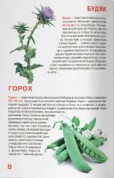 Велика книжка. Рослинний світ України - Олег Зав'язкин - мініатюра 3