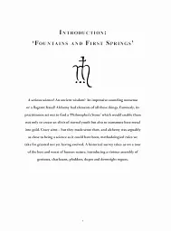 Alchemy Illustrated: The Quest for Gold the Elixir of Life - Керріган Майкл - мініатюра 2