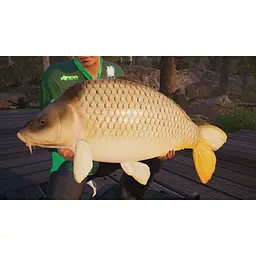 Ключ активації Microsoft Fishing Sim World: Pro Tour для Xbox One/Serie - мініатюра 2
