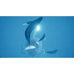 Ключ активації Microsoft Abzu для Xbox One/Series - мініатюра 6