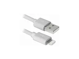 Кабель REAL-EL 2.0 AM to Lightning 1.0m MFI Rainbow (EL123500051)