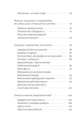 Швеція. Модель для збірки: вілла, вольво, песик - мініатюра 7
