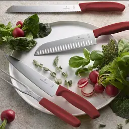 Кухонний ніж Victorinox SwissClassic Bread 21 см Serrated Red (6.8631.21B)
