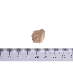 Ласощі для собак Brit Raw Treat freeze-dried Urinary для профілактики сечокам'яної хвороби, індичка, 40 г - мініатюра 8