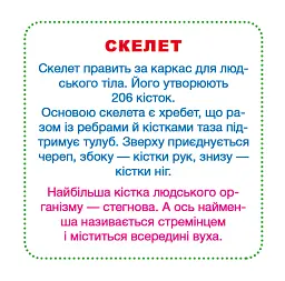 Розумні картки. Моє тіло. 30 карток - - миниатюра 3