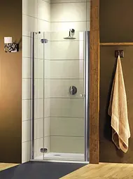 Душові двері Radaway Torrenta DWJ 110 см 31940-01-05N