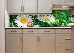 Кухонний фартух Сонячні ромашки вініловий ПВХ наклейка для кухні зелений 60х300 см Happy Pocket Z180273 - мініатюра 3