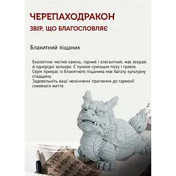 Драконочерепаха DH-F001 - мініатюра 5