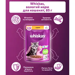 Вологий корм для кішок Whiskas Kitten Курка в желе 85 г (5900951302152) - мініатюра 4