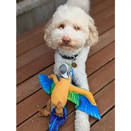М'яка іграшка для собак Molly Macaw Rope Squeaker - мініатюра 4
