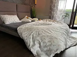 Комплект постільної білизни Domikus Фланель, Байка 2х145х210 сімейний верба - мініатюра 2