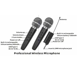 Портативна колонка BIG AVEN-XR12 75W, USM/MP3/FM/Bluetooth + 2 мікрофони караоке - мініатюра 2