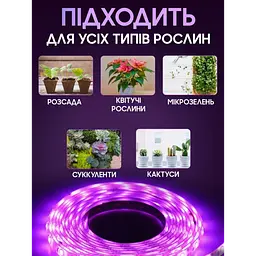 Світлодіодна фітолента для кімнатних рослин фітолампа 12V повний спектр 5 метрів від мережі SMD 2835 - мініатюра 4