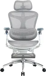 Офісне крісло Sihoo DORO C300 Pro Mesh White with footrest (DORO-C300-PRO-M102-JT) - мініатюра 1