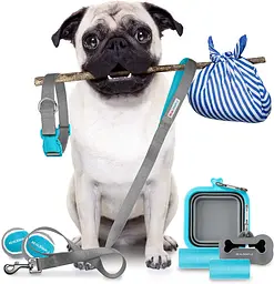 Набір для цуценят середніх і великих порід Real Simple Pet Dog сірий 10 предметів - мініатюра 2