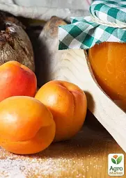 Саджанець Agro-Market Абрикос колоновидний помаранчевий із засмагою на сонячному боці Радості життя (Joy of life) (преміальний пізньостиглий сорт) 1 шт. в упаковці (45792) - мініатюра 3