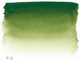 Акварельна фарба Sennelier, полукювета, S1, Соковитий зелений (Sap Green) - мініатюра 2