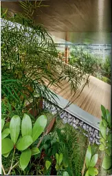 Contemporary Japanese Architecture - мініатюра 5