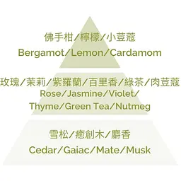 Ароматична свічка Plantes & Parfums Green Tea 180 г - мініатюра 2