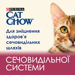 Сухий корм для підтримки здоров'я сечовивідної системи котів Cat Chow Urinary Tract Health з куркою 1.5 кг - мініатюра 6