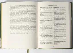 Присяга Гадяцького полку 1718 року (Друге видання) - Сергій Горобець - мініатюра 8