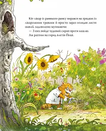 Заблукала вівця. Кіт-лікар. Книга 1 - Валько - мініатюра 6