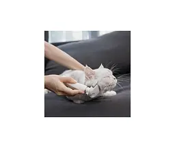 Пуходірка-слікер Xiaomi Pawbby Slicker (MG-PCO001) [67365] - мініатюра 6