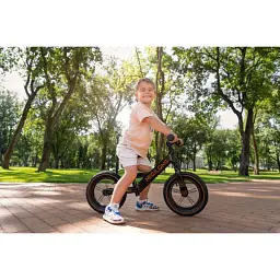 Біговел Miqilong HPA 12" ZCY-HPA12-Black чорний  - мініатюра 15