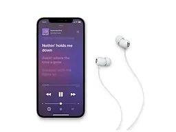 Наушники Beats by Dr. Dre Flex All-Day Wireless Earphones Gray (MYME2) - миниатюра 3