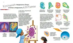 Книга Ранок X та Y, дівчинка або хлопчик? - Патрік А. Боерле (С1354004У) - мініатюра 2