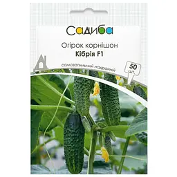 Насіння огірків Садиба Кібрія F1, 50 шт. 